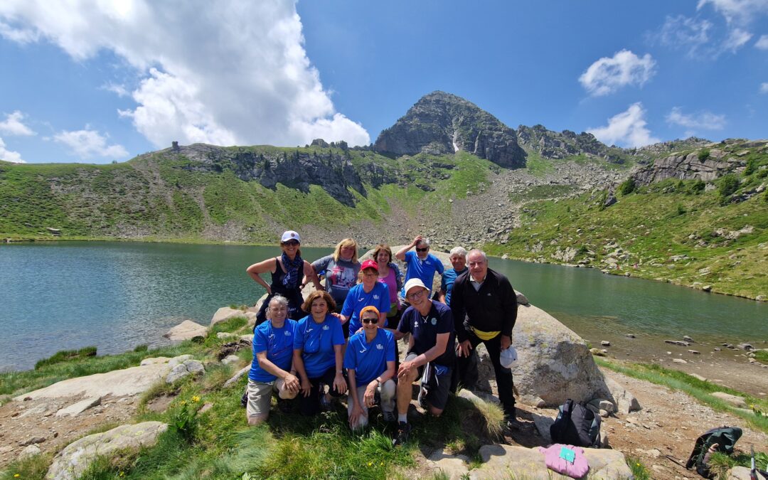 Dolomiti “Cat Sport”